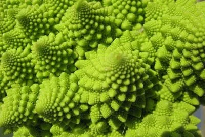 brÃ³coli jigsaw puzzle