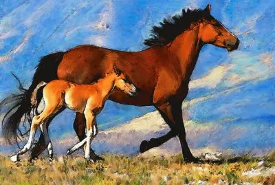 mare with foal