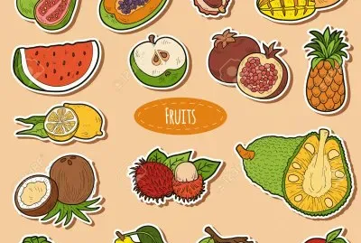 melon jigsaw puzzle