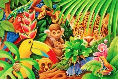 dibujos selva