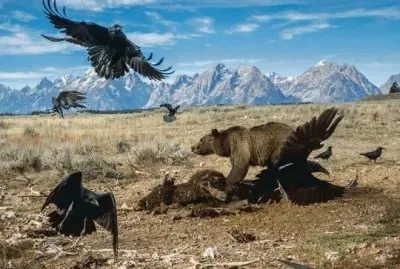 Parque Nacional Grand TetÃ³n