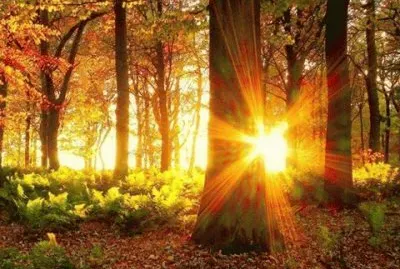 Magicos lugares jigsaw puzzle