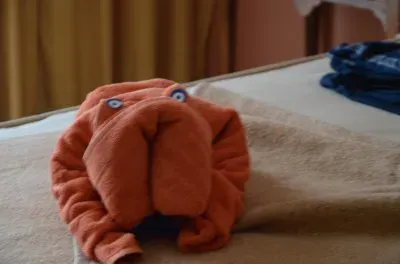 Fuerte Ventura jigsaw puzzle