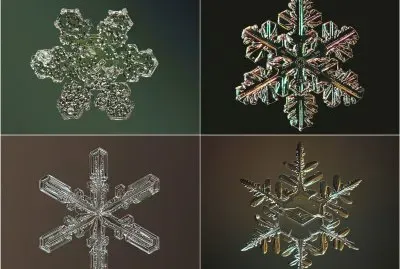 פאזל של copos de nieve