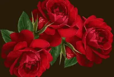 imagens jigsaw puzzle