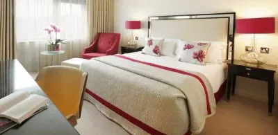dormir jigsaw puzzle