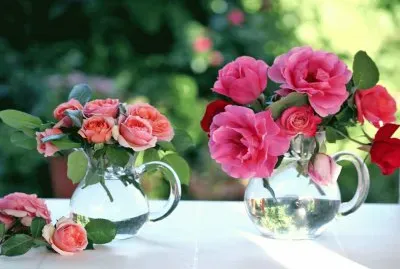 Rosas