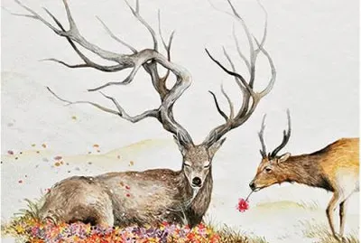 Luqman Reza jigsaw puzzle