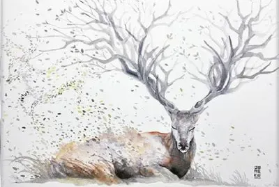 Luqman Reza jigsaw puzzle