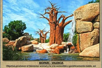 BIOPARC (VALENCIA) - PROMOVER EL BIENESTAR ANIMAL