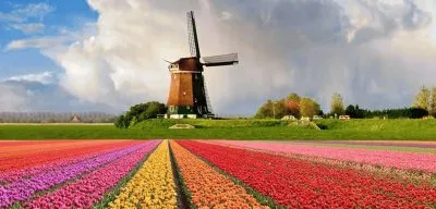 rosanamottola jigsaw puzzle