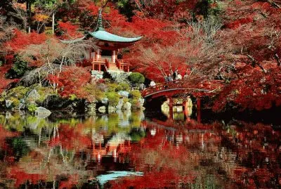 (204) Paisagem jigsaw puzzle