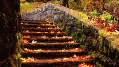 Magicos lugares jigsaw puzzle