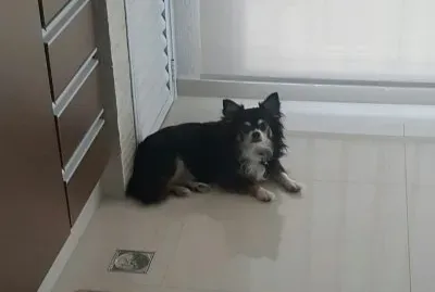 Nick na sacada de seu Apartamento