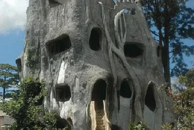 Crazy Tree house Vietnam