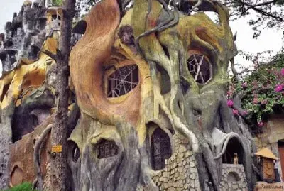 Crazy Tree House Hotel in Vietnam 2