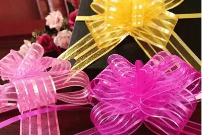 Pretty Butterfly Ribbons