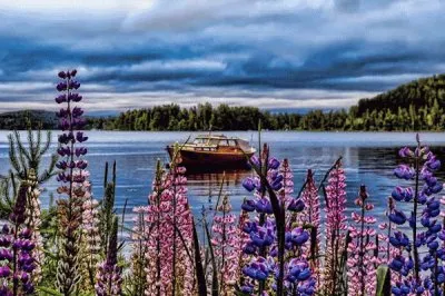 Finlandia jigsaw puzzle