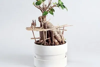 Casita de Arbol 10 por Designboom jigsaw puzzle