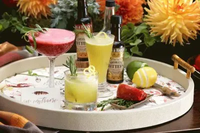 Gourmet Au Contraire Cocktail Tray