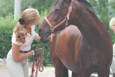 This boy is 25 yr old Fandango with InÃ©s SchÃ¶ppe