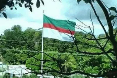 פאזל של Bandera Florida Puerto Rico