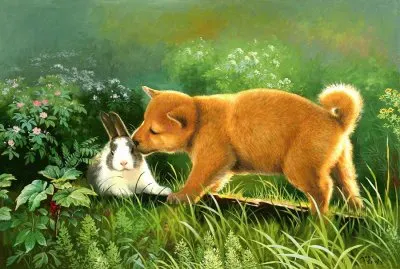 amor