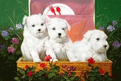 amores jigsaw puzzle