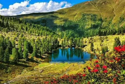 imagens jigsaw puzzle