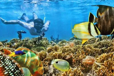 Snorkel. Los Roques - Venezuela