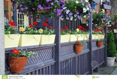 Restaurant Patio with Gorgeous Flowers