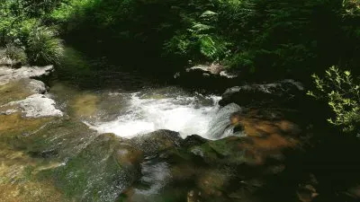 Kerosene Creek  near Rotorua