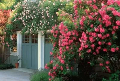 imagens jigsaw puzzle