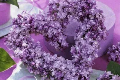 Lavender Heart Wreath