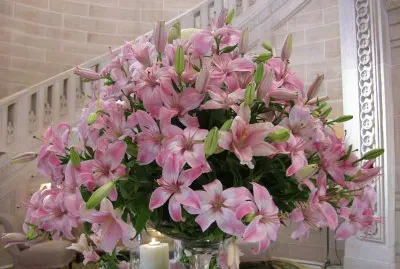 Pink lily arrangement, Umaid Bhawan Palace, India