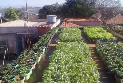 Horta de AgriÃ£o jigsaw puzzle