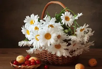 פאזל של imagens