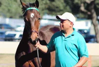 2016 Yearling Dark Bay Filly | By Capo Bastone