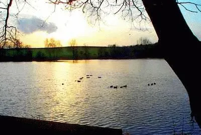 Osborne 's Pond, Shipley