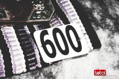 Saddle Pad   Number jigsaw puzzle