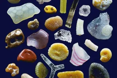 granos de arena  (microscopio)