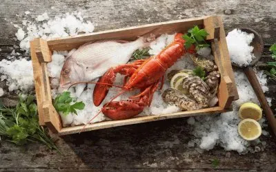 ANIMALES jigsaw puzzle