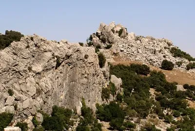 Andalus / Sierra Grazalema