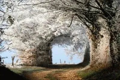 magical road jigsaw puzzle