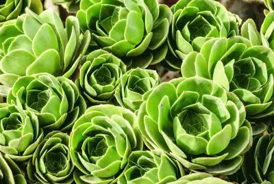 Cornovaglia 09.06 jigsaw puzzle