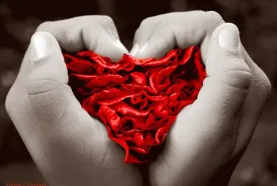 imagenes jigsaw puzzle