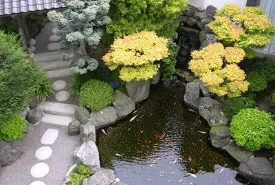 jardin japones