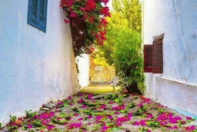 פאזל של Alfombra de flores-Chipre