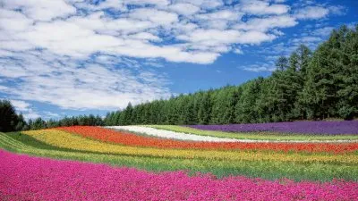 Mundo jigsaw puzzle