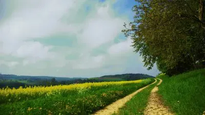 Mundo jigsaw puzzle
